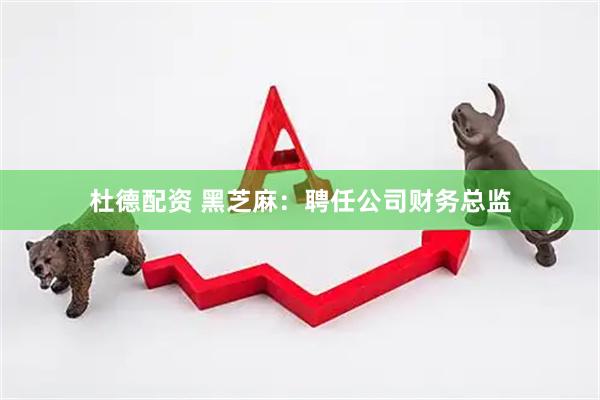 杜德配资 黑芝麻：聘任公司财务总监