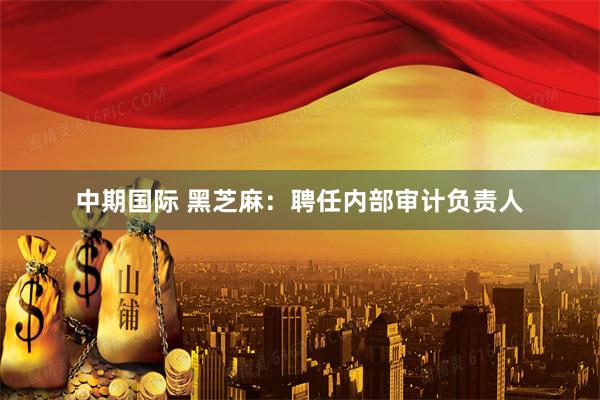 中期国际 黑芝麻：聘任内部审计负责人