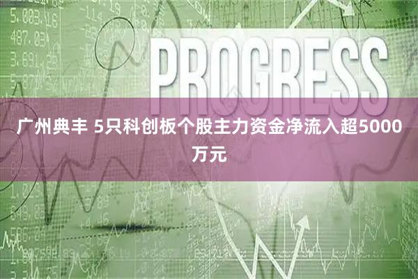 广州典丰 5只科创板个股主力资金净流入超5000万元
